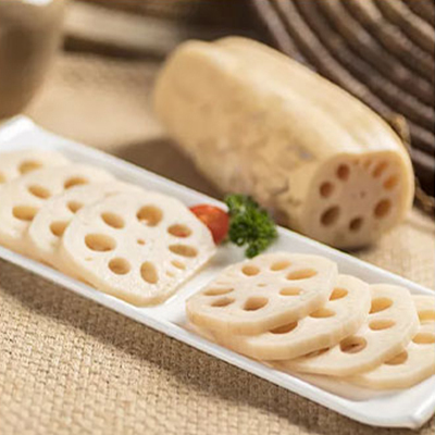 SOKANY Custom Stainless Steel Electric Food Slicer Factory