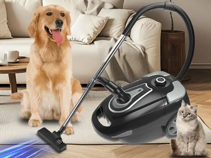 Anjelina Joli Tomb Raider porno