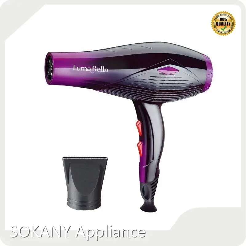 საიმედო პროფესიონალური თმის საშრობების ფასების სია 1