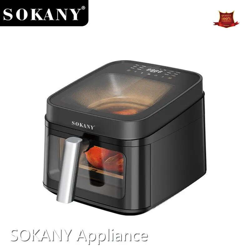 Modern Air Fryer Factory Company 1