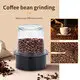Насыпная кампанія Blender Company 5
