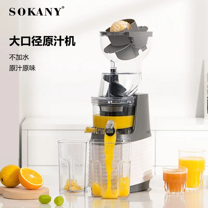 Whole Slow Juicer Excellent for Icemakers 2