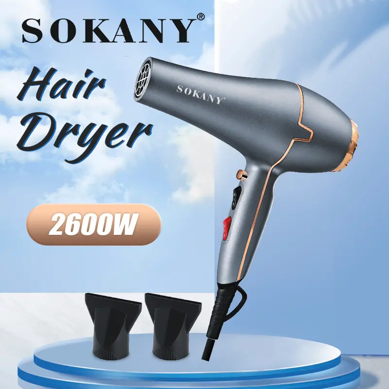 Products Hair Dryer Wholesale Delivers Smooth and Shiny Hair in Stock Supply 3